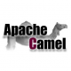 Apache Camel Training in Sweden