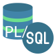 Oracle PL/SQL Kurs i Sverige