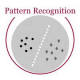 Pattern Recognition Training in Sweden