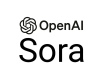 Sora Kurs i Sverige
