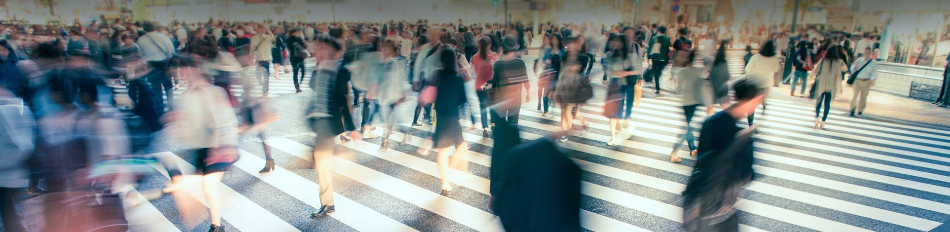 Training and Consultancy